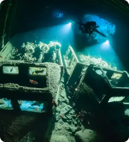 <p class="p1"><i>Découvrez notre croisière</i></p>