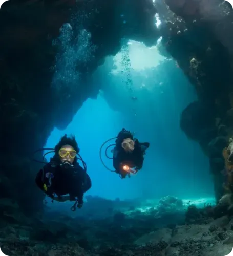 <p class="p1"><i>Découvrez notre croisière</i></p>