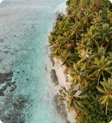 <p class="p1"><i>Découvrez notre croisière</i></p>