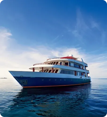 <p>Découvrez le <i>Théia</i></p>