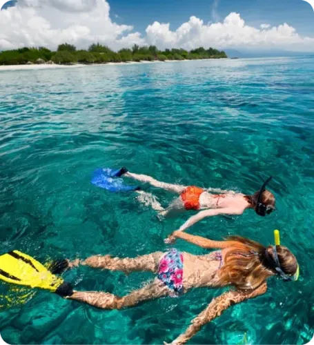 <p class="p1"><i>Découvrez notre croisière</i></p>