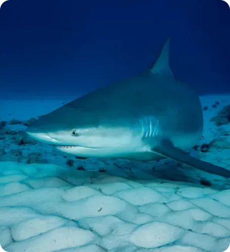 <p class="p1"><i>Découvrez votre séjour</i></p>