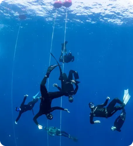 <p class="p1"><i>Un séjour apnée à Marseille entre Calanques, lumière méditerranéenne et découverte du bleu</i></p>