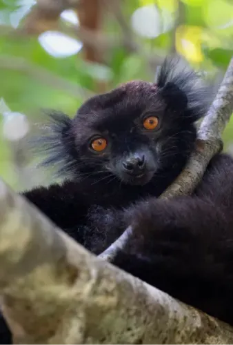 Quand partir & conditions