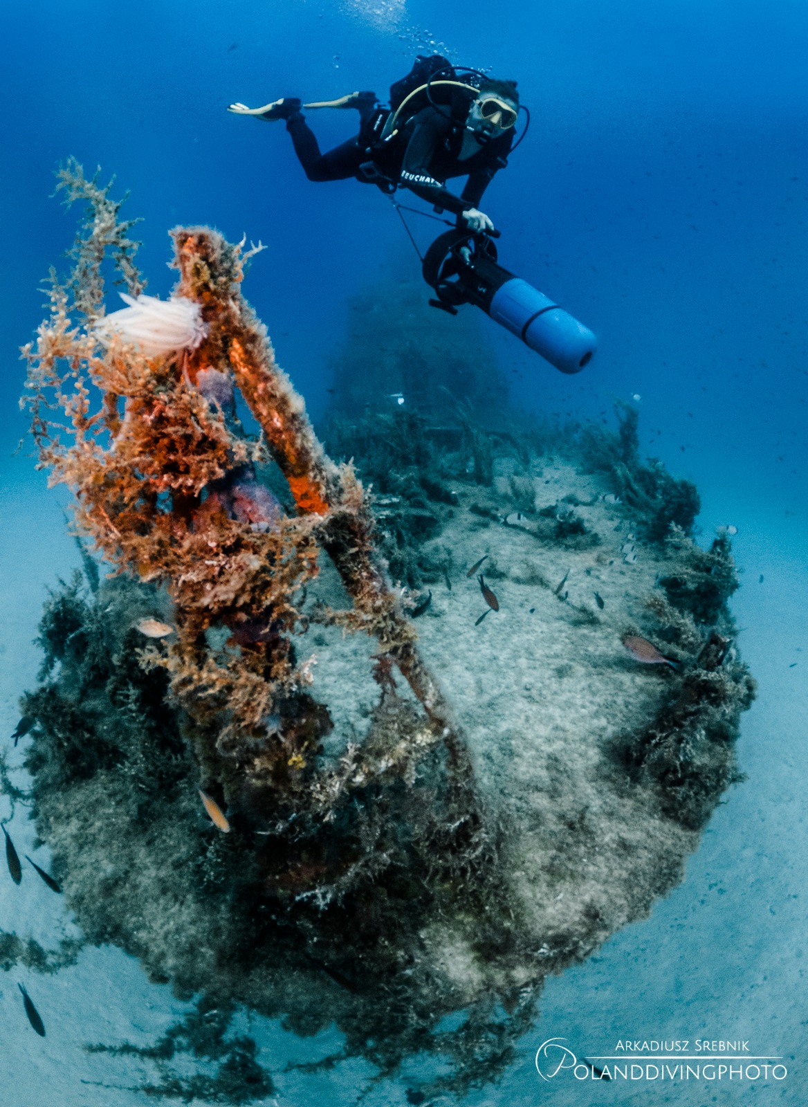 Why Malta Is Europe's Best Diving Destination