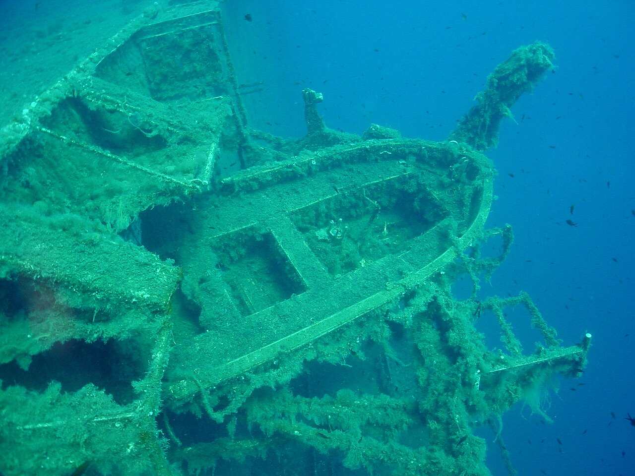 Zenobia